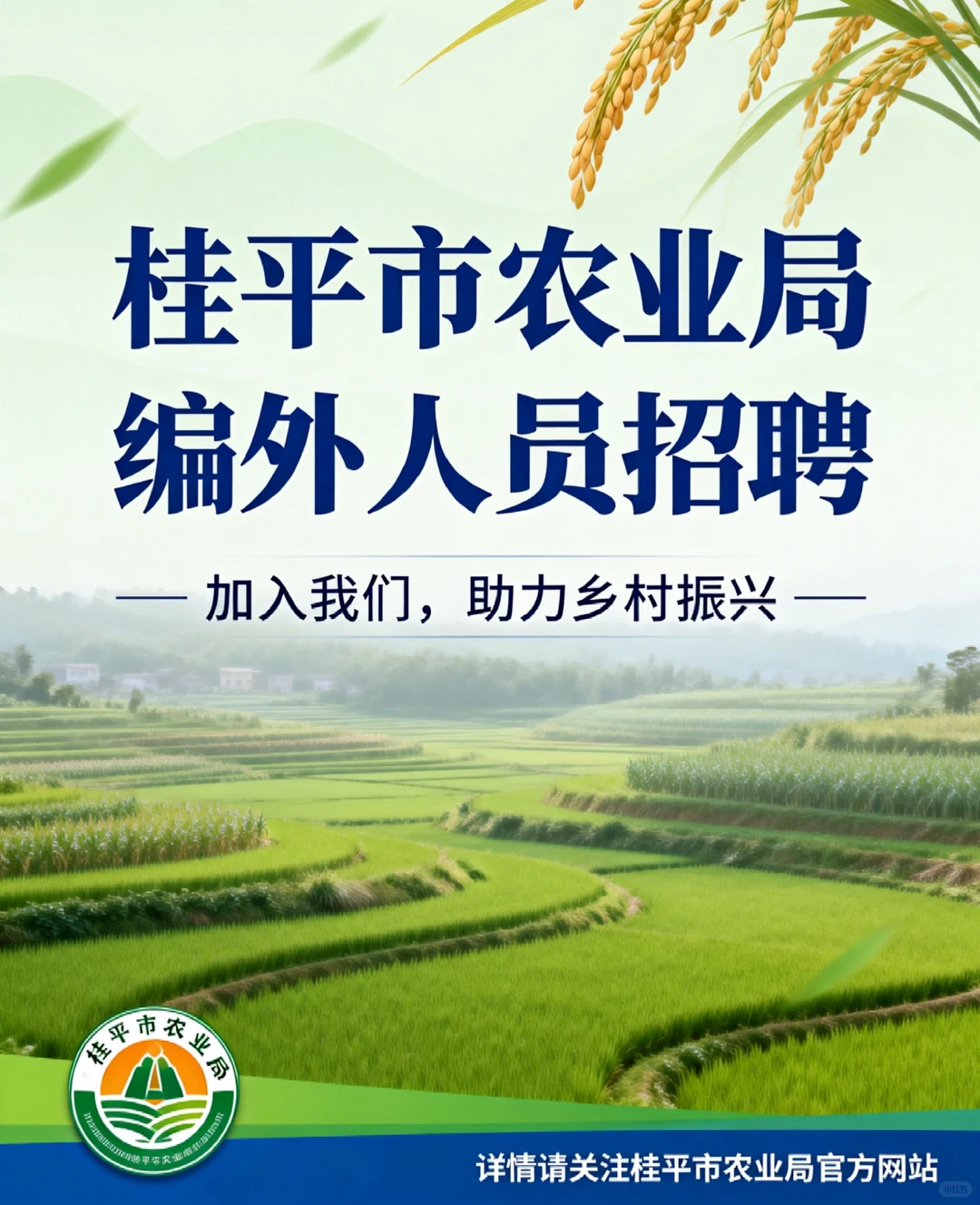 桂平招聘！农业农村局编外岗，大专可报✨