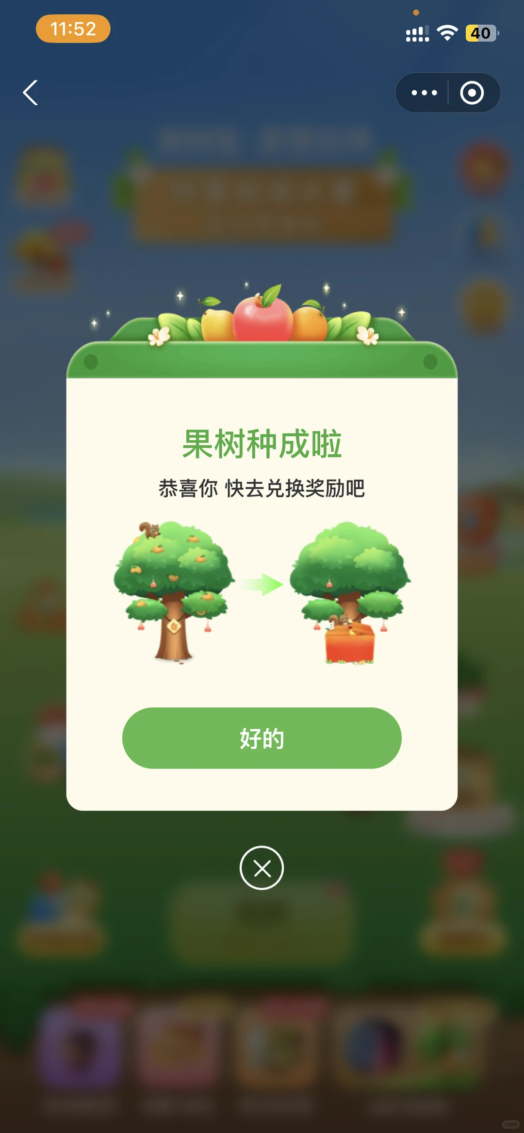 芭芭农场种树5年,我收获了什么?