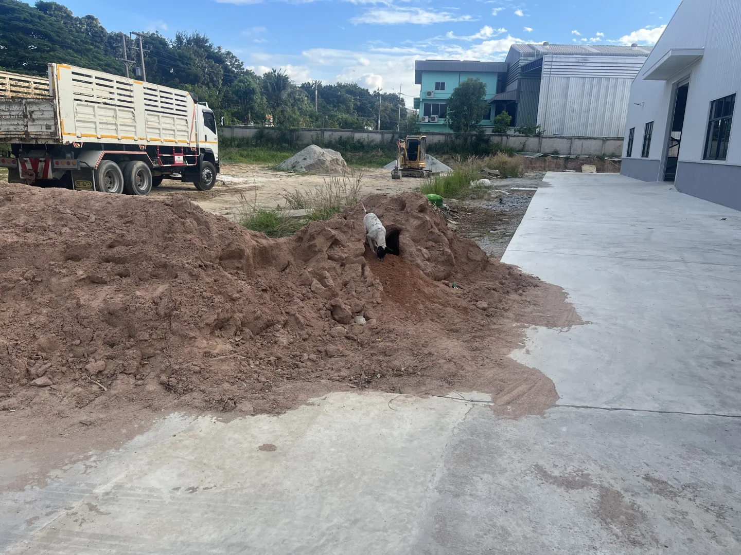 在泰国，建材到了，狗先开工