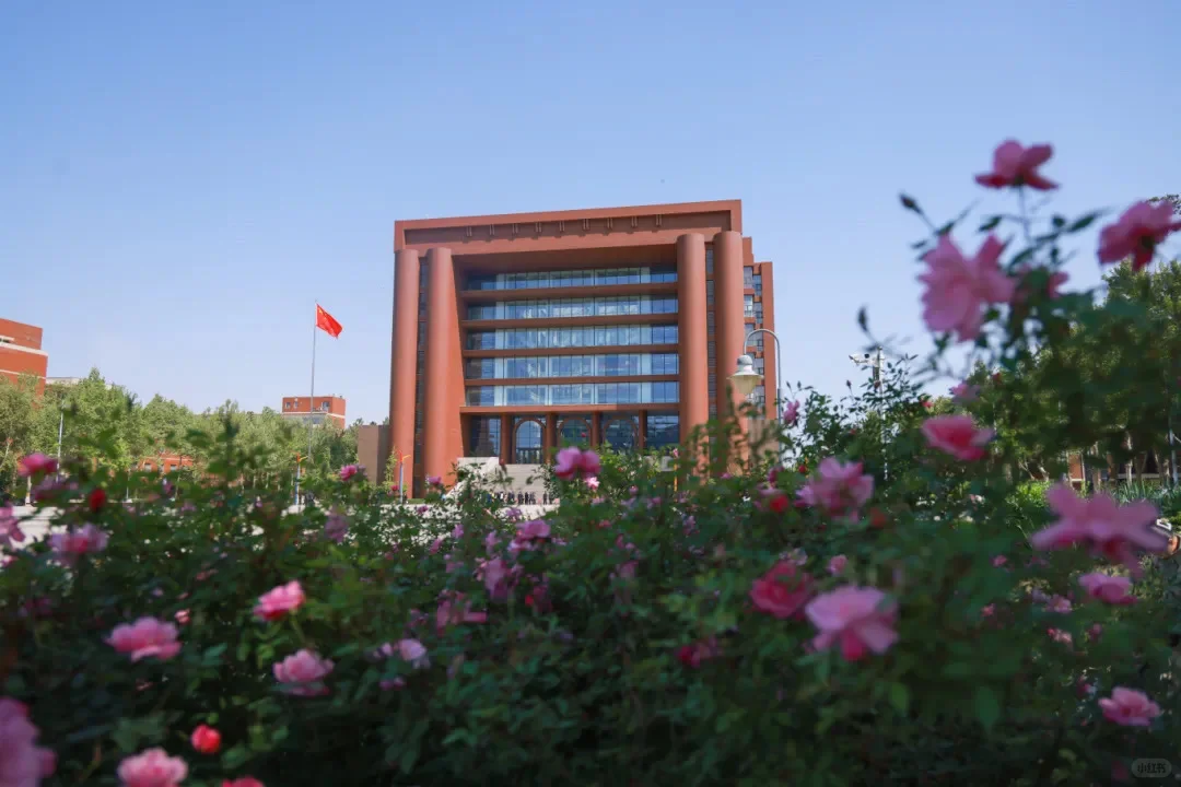 2025年12月的河北大学图书馆