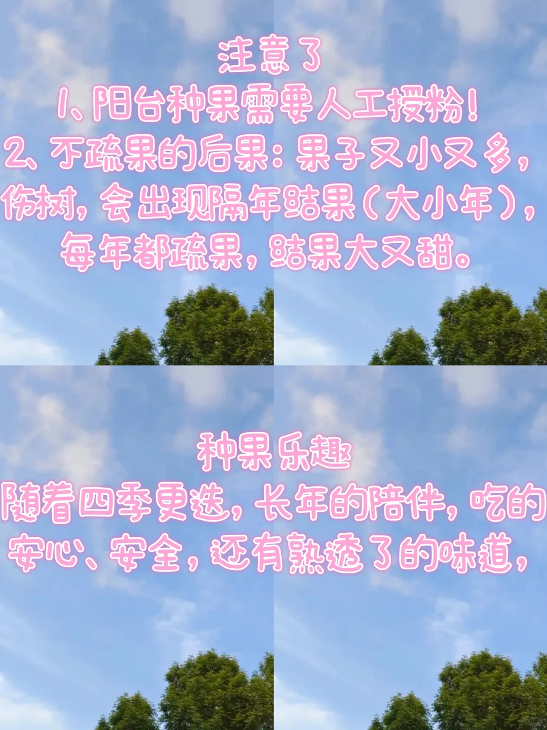 露台种植|初学者种果技巧，超实用轻松学