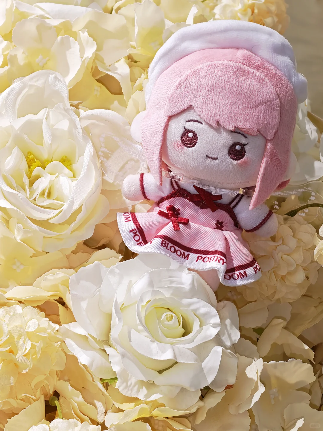 合肥暖暖生贺结算！