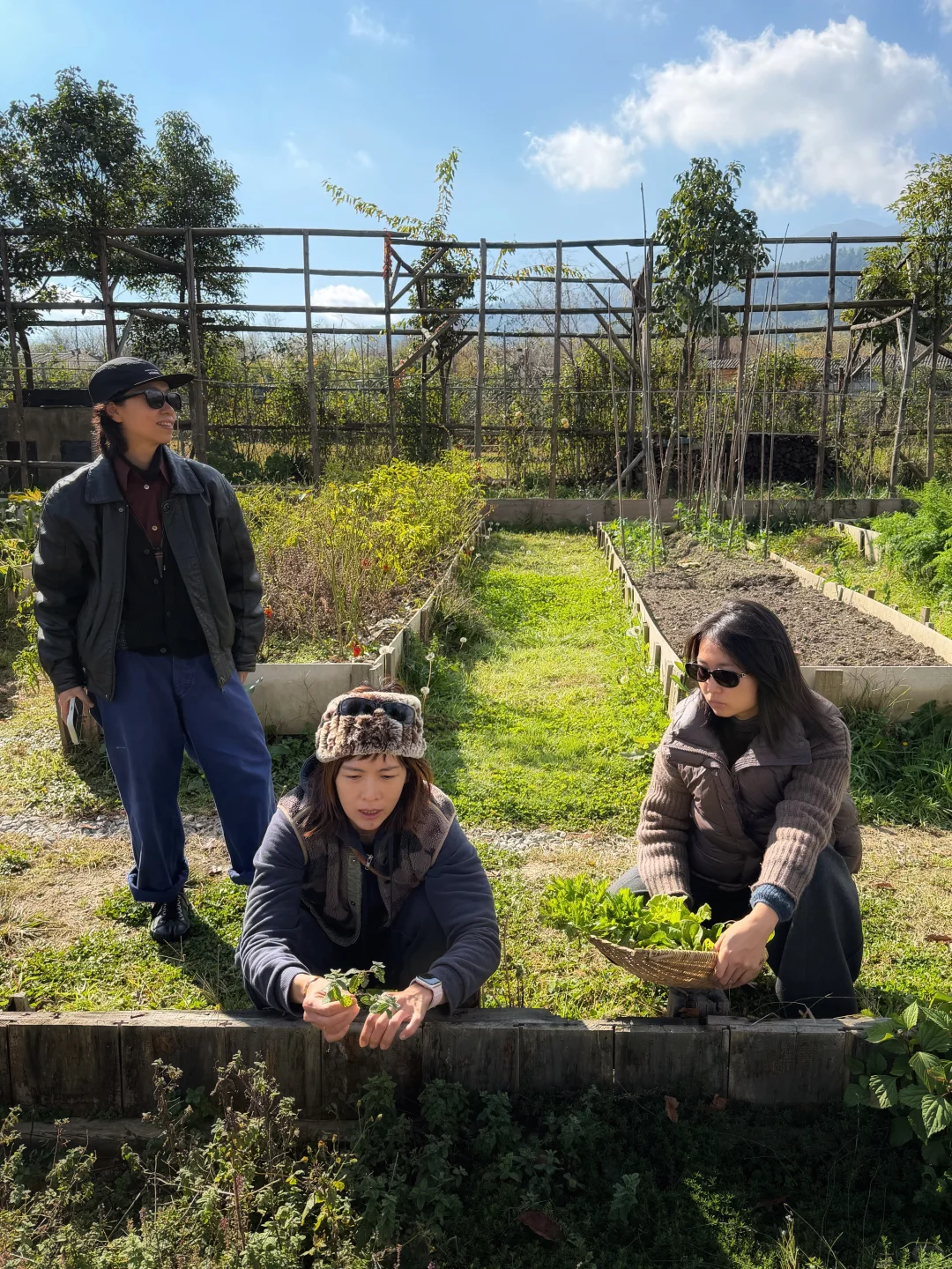 在自然里轻轻走走 就有丰富的收获和答案