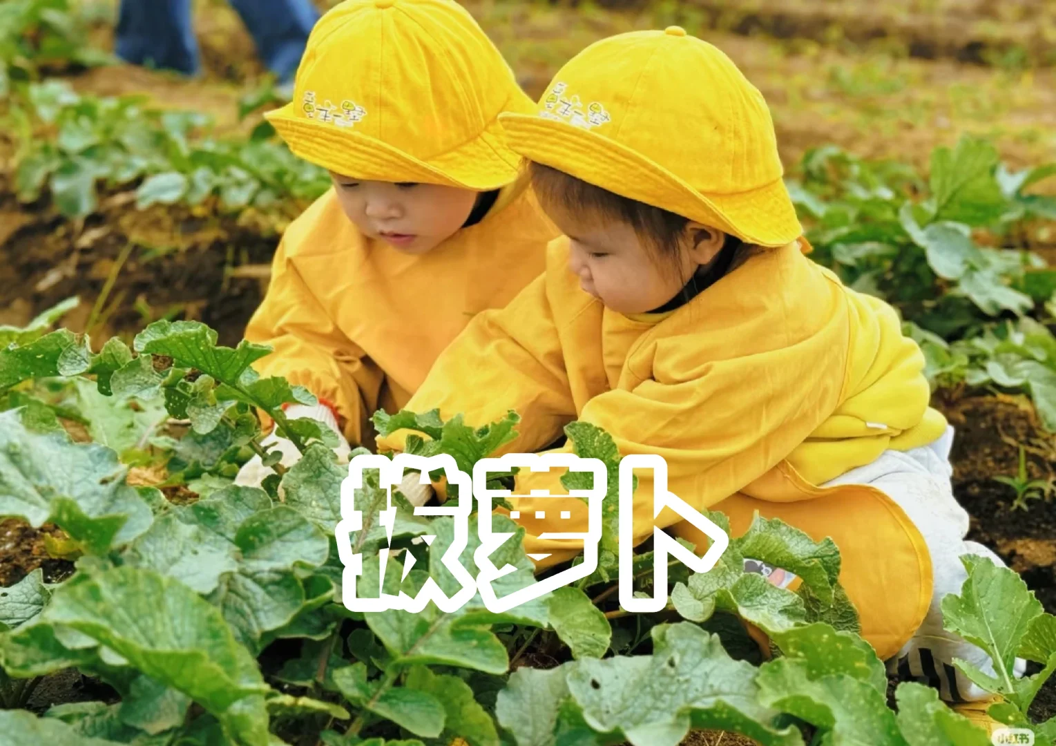 11月份适合杭州亲子活动合集|家长们请查阅