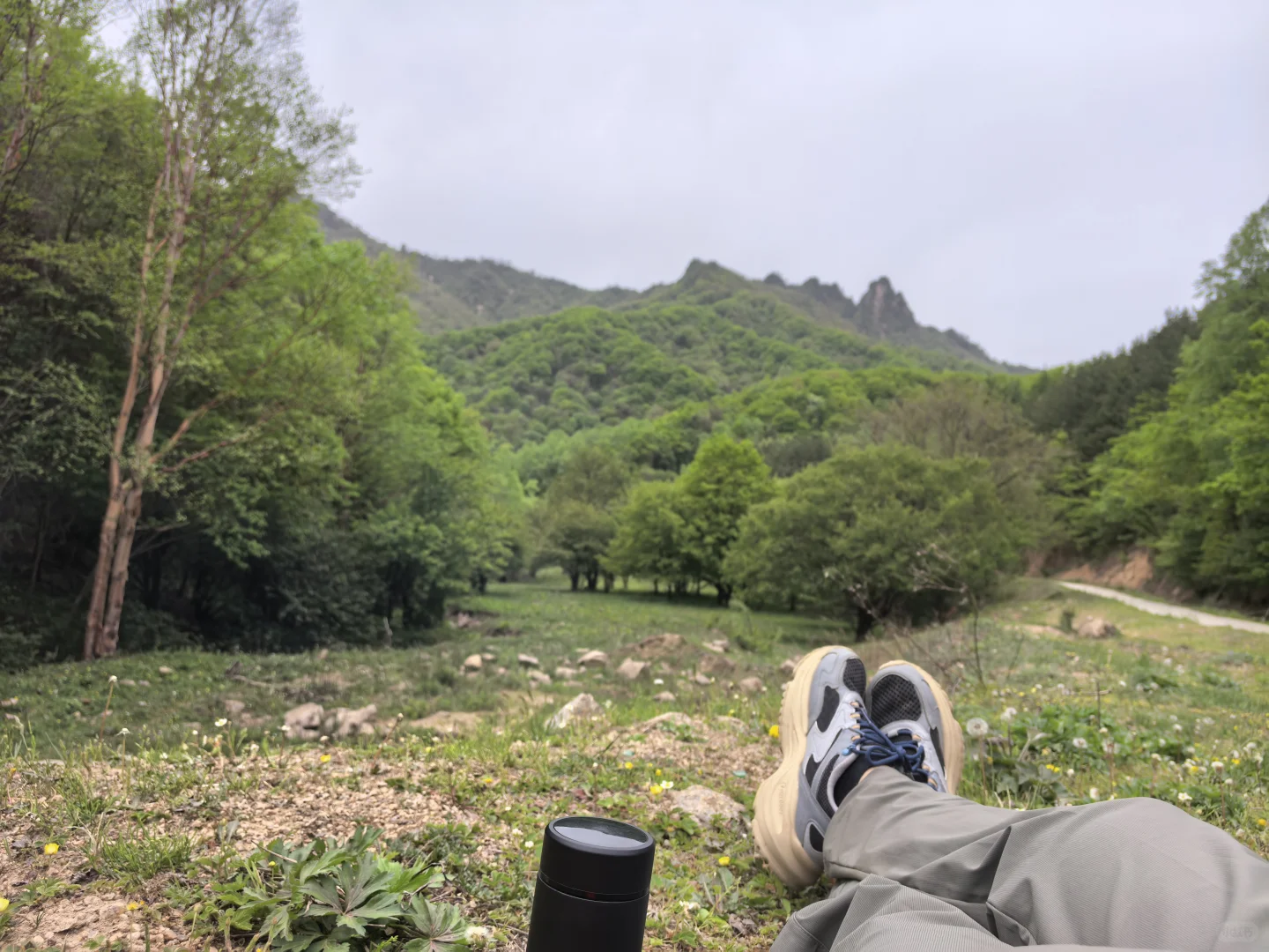 省管林场真职员重磅发文，打破谣言！