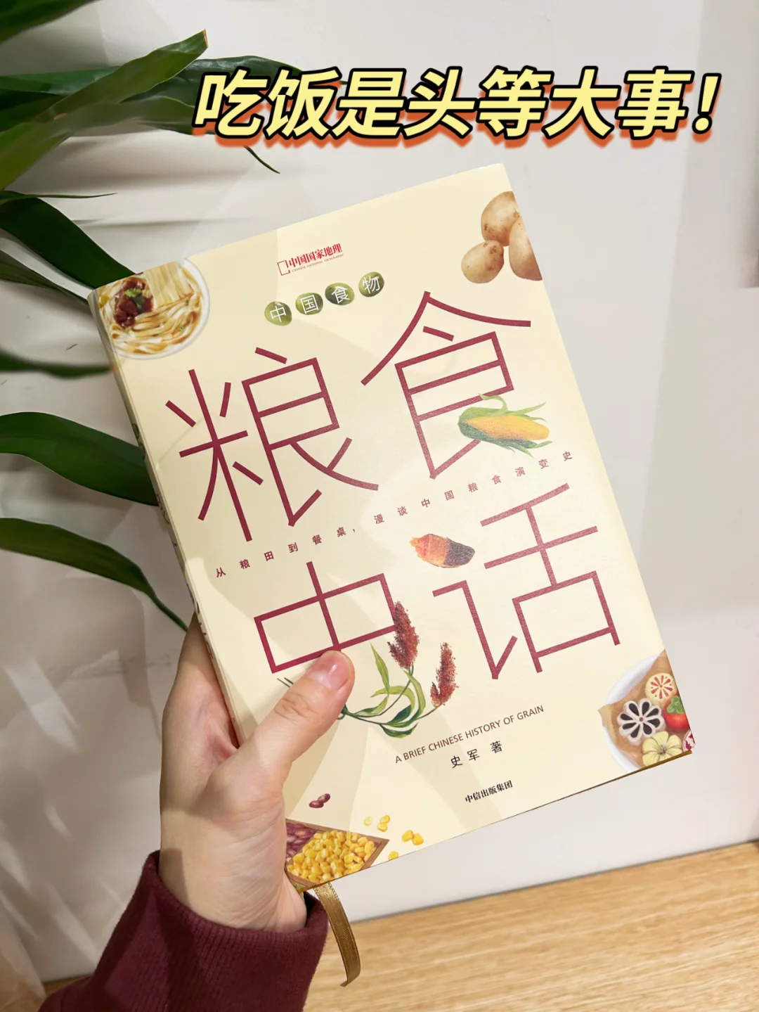 不吃主食就是没吃饭？中国人为什么爱主食？