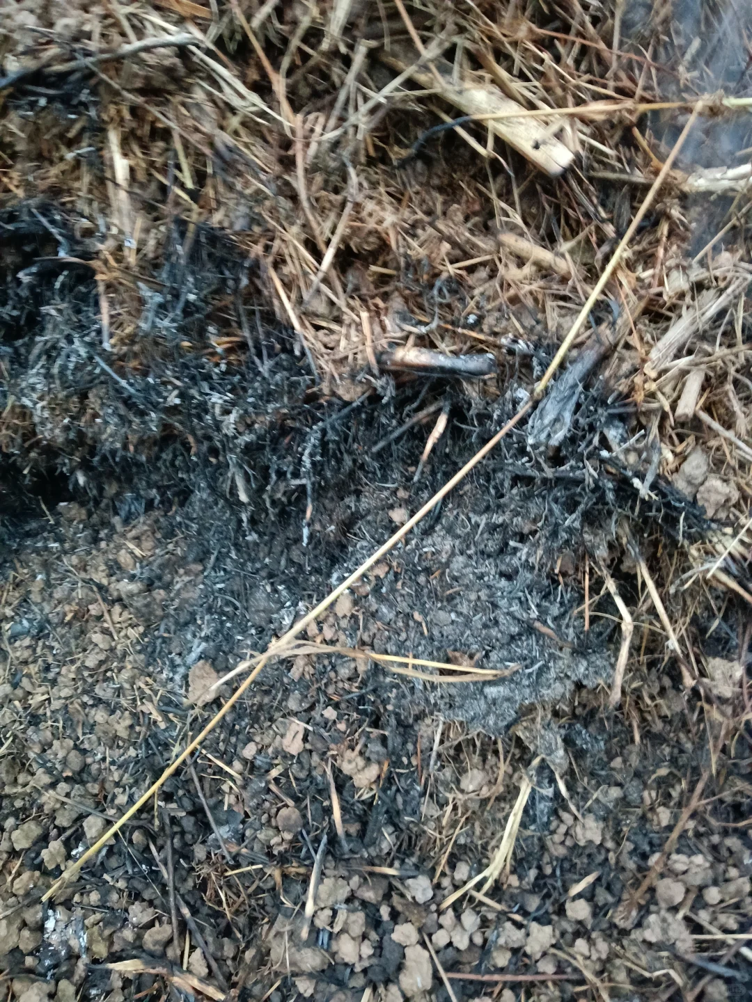 老法子种出的天然味道