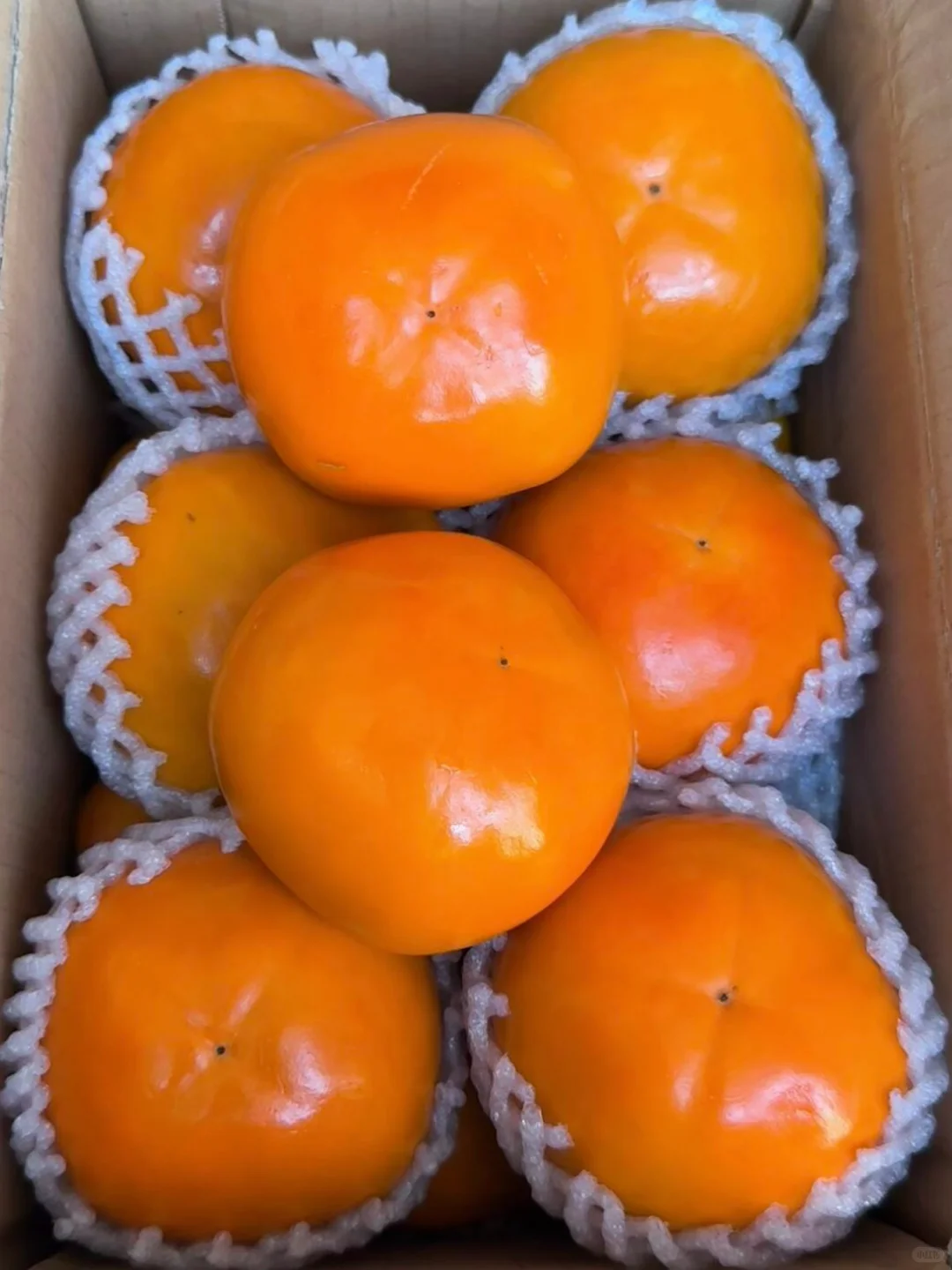 时令宝藏非这脆柿子莫属