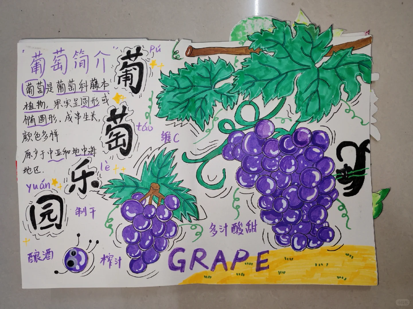 原创绘本《水果王国》学前教育美术期末作品