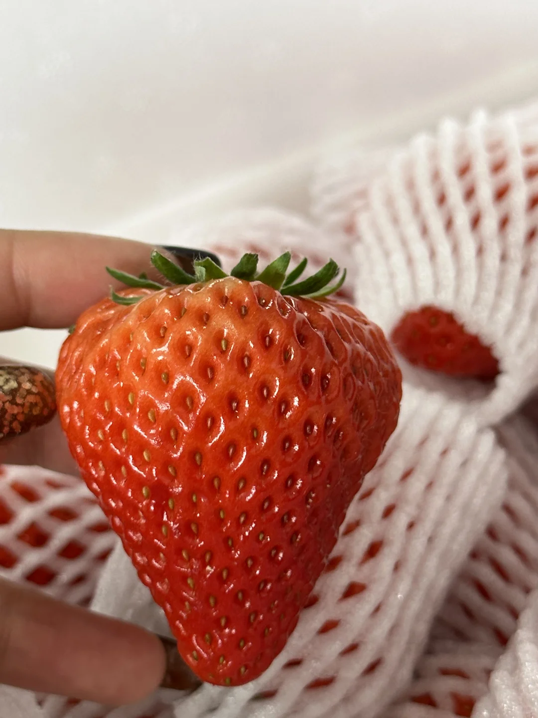 救命！这草莓是吃了膨大剂吗？！?”