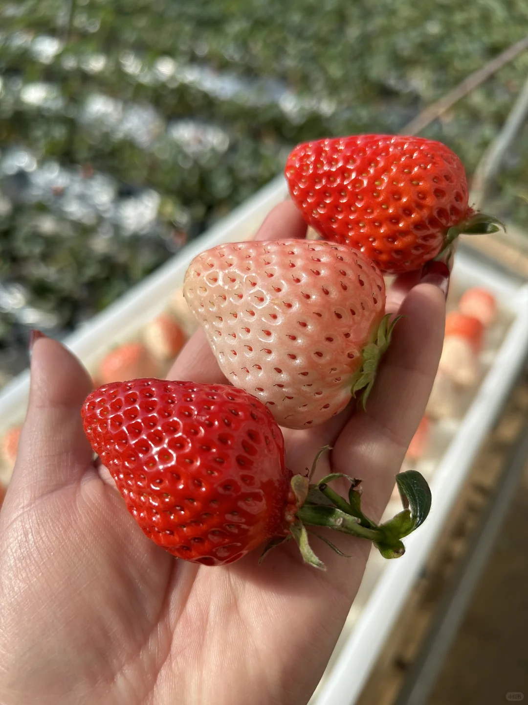 千万不要买/你再忍一忍/马上大降米