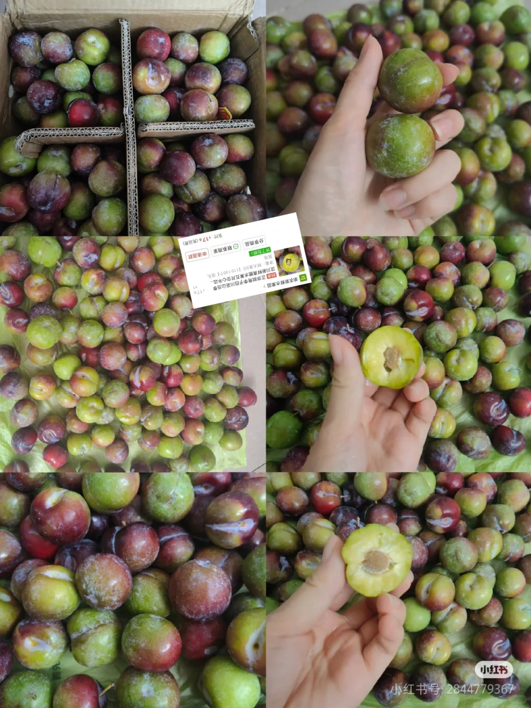 本人在pdd买东西就没失手过!!!