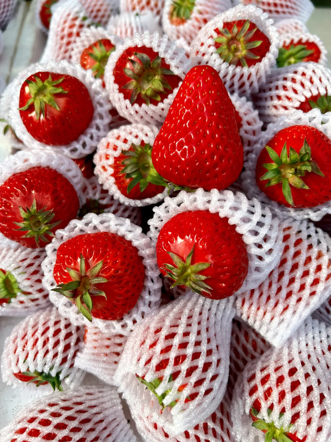 千万不要买/你再忍一忍/马上大降米