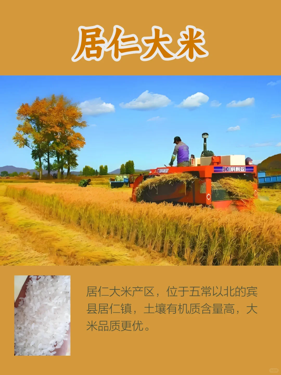 黑龙江特产，哈尔滨市的3大名特优农产品