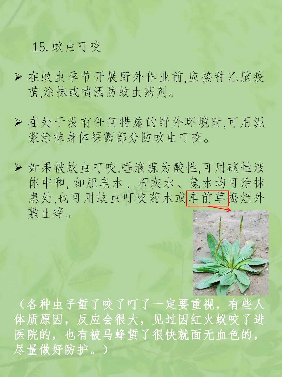 林业外业调查注意事项