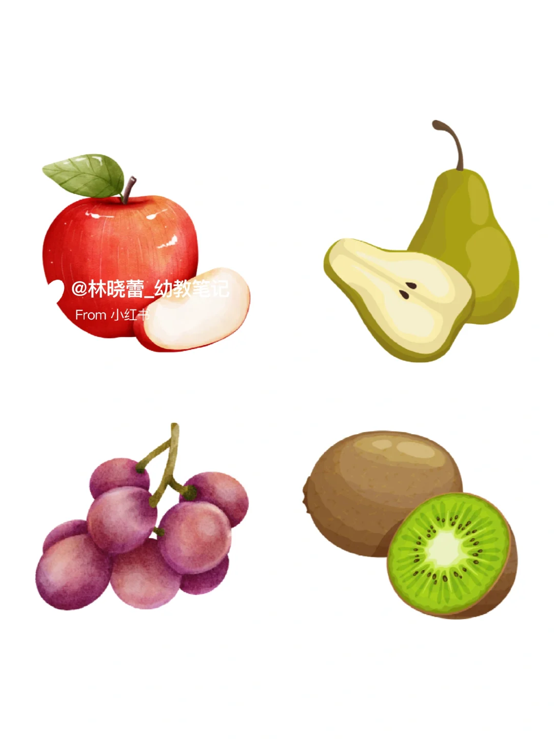 秋天水果环创素材?打印