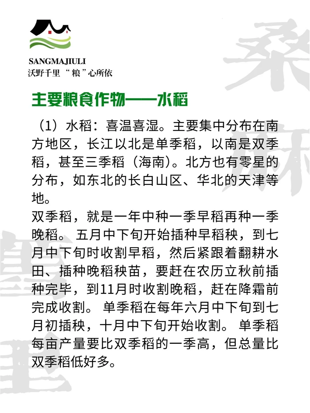 ?中国粮食作物分布,探索粮食的丰饶之地