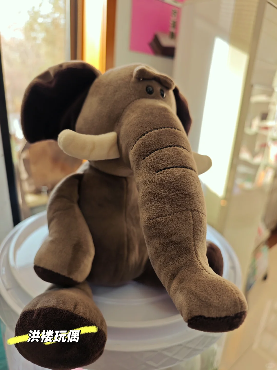 山大数院之爱上洪楼图书馆