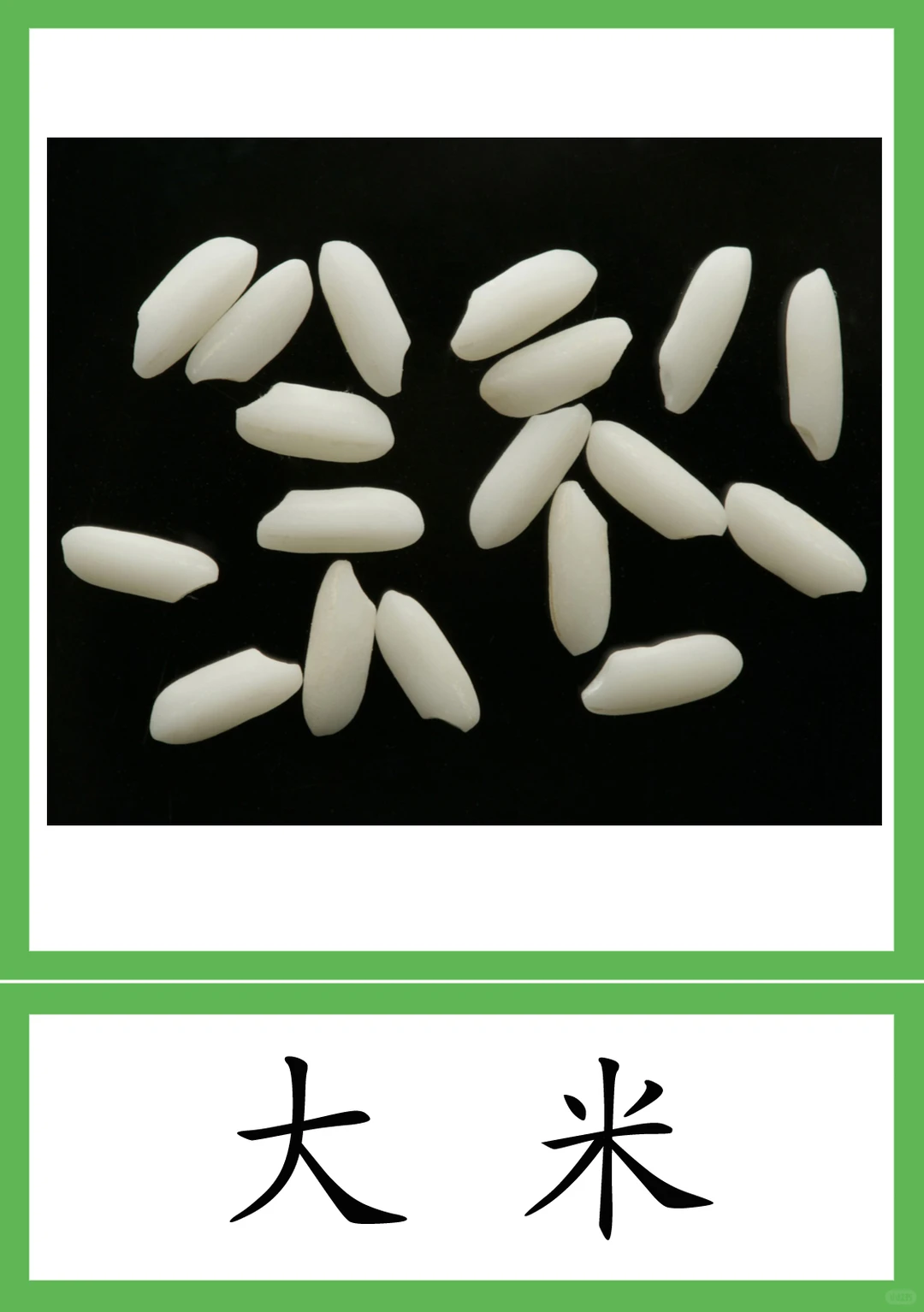 蒙氏植物素材28--粮食作物种类 三段卡