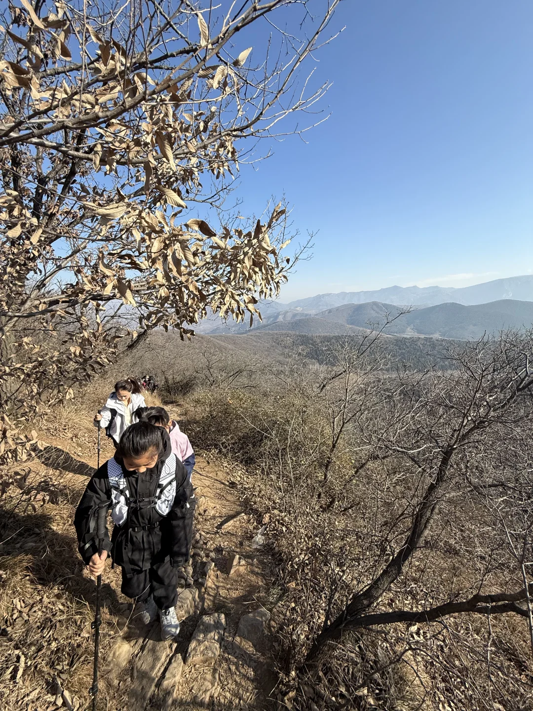 一周一山⛰️-第五十五山-达摩像.少林寺