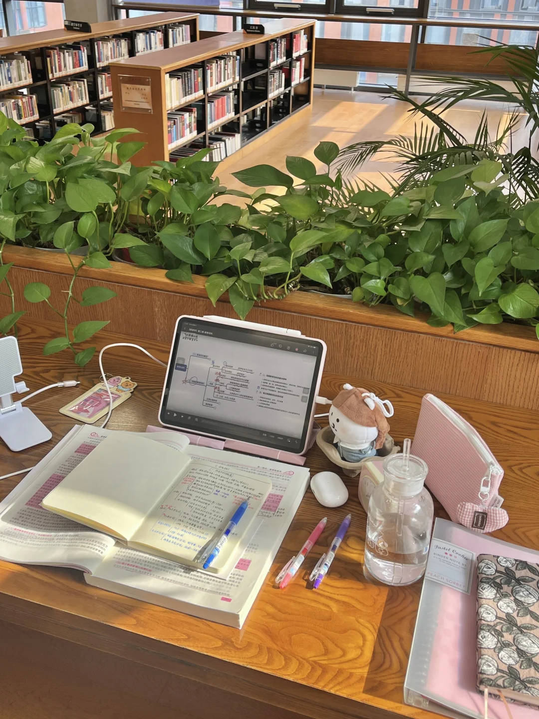 周末你好，我已经在清华图书馆学习一上午了