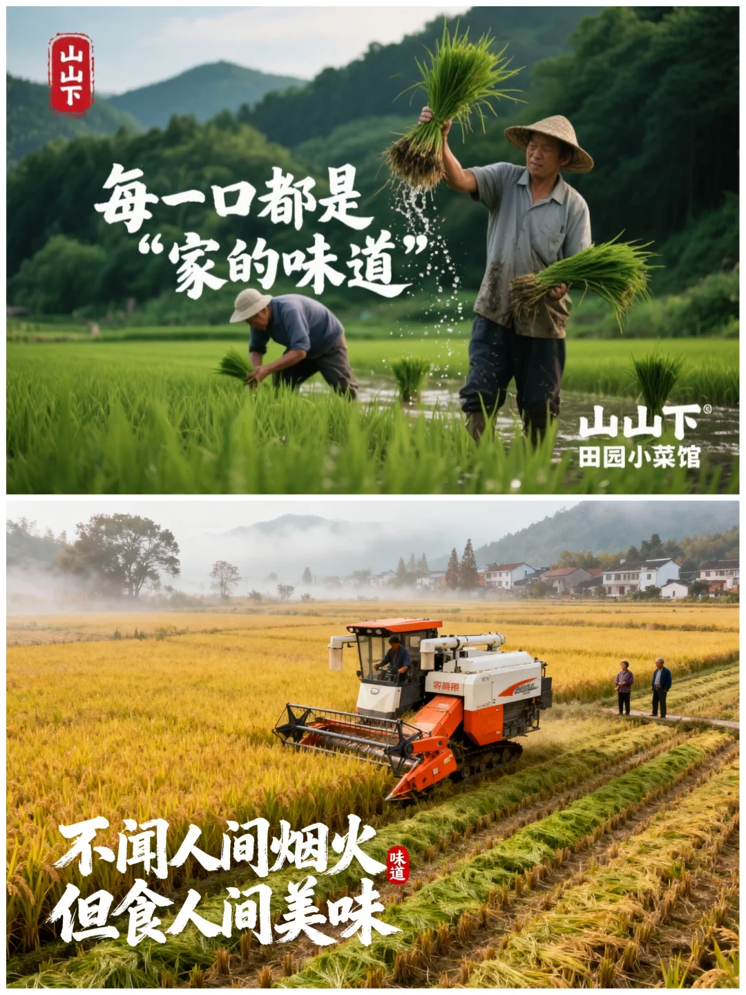 春耕与秋收｜稻花香米