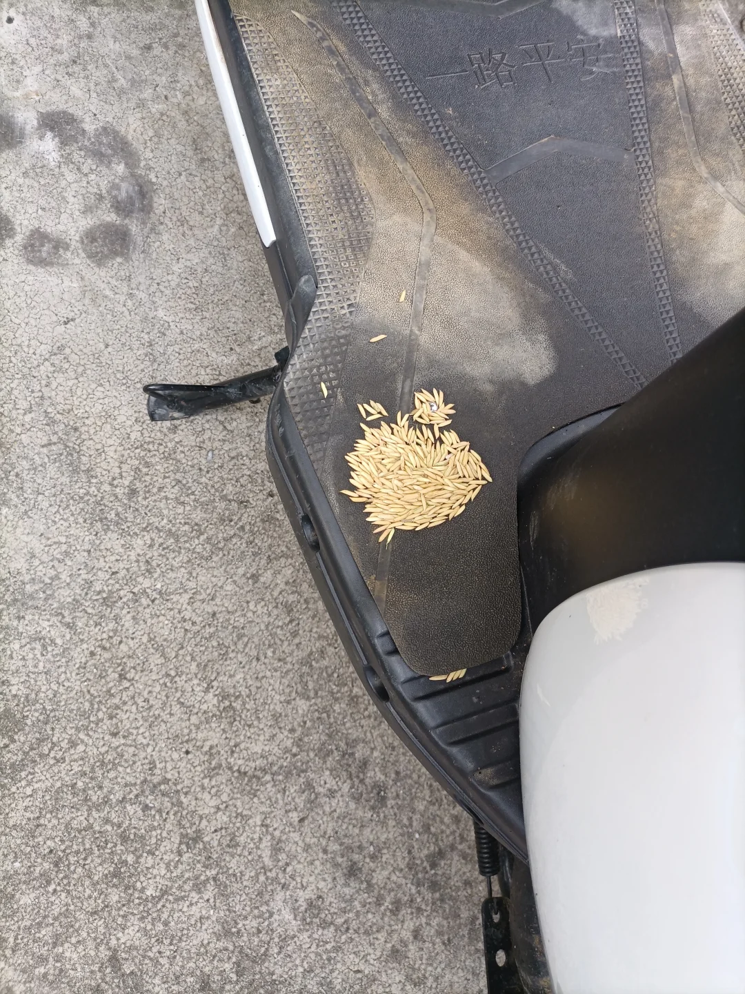 今日工作，帮脱贫户卖谷子，完成带动率