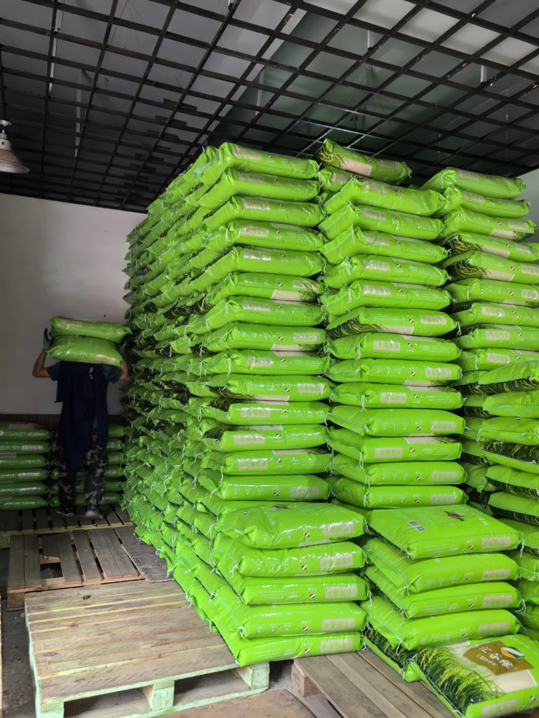 专业供应餐饮优质大