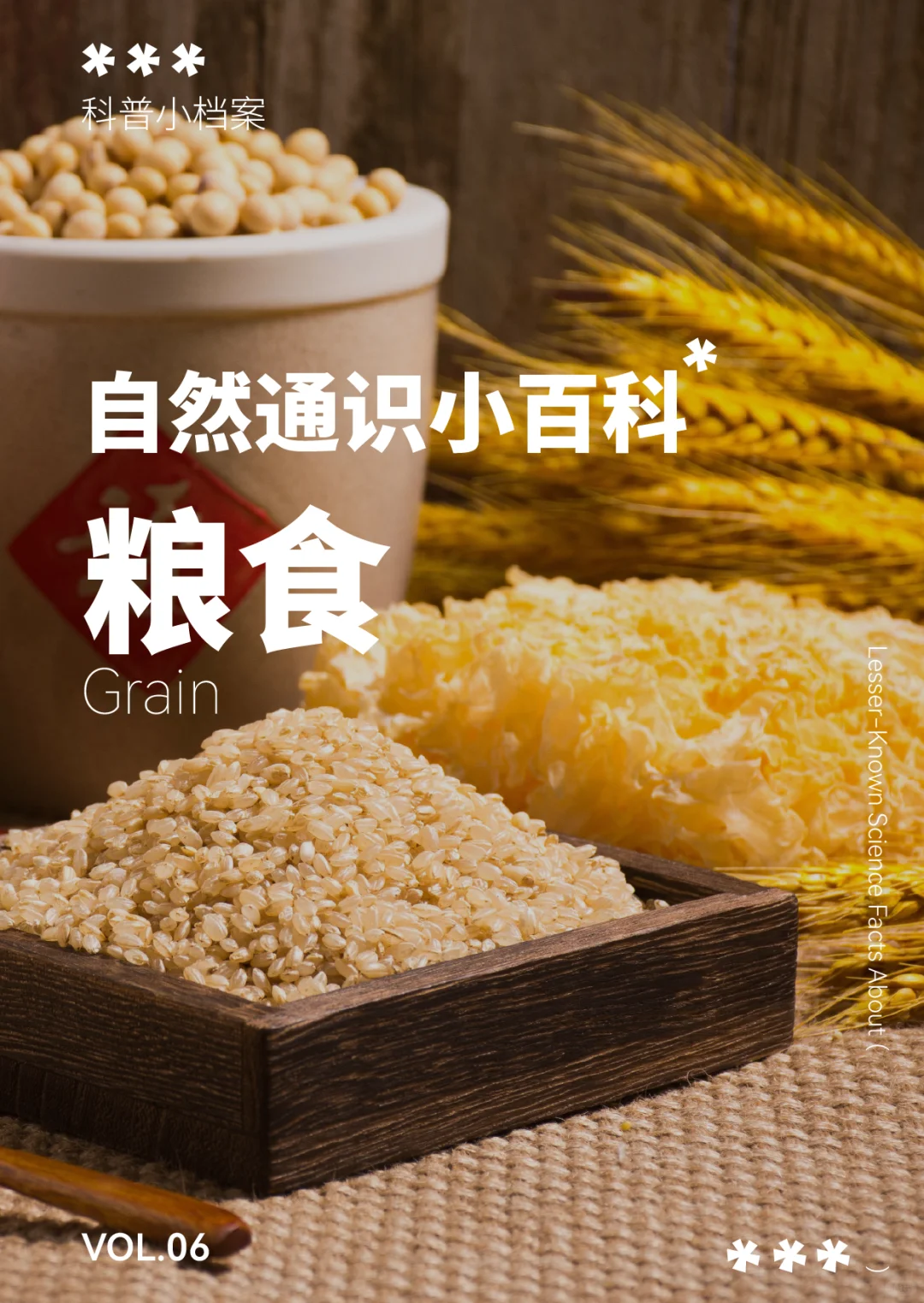 ?自然通识小百科VOL.6 | 粮食说明书