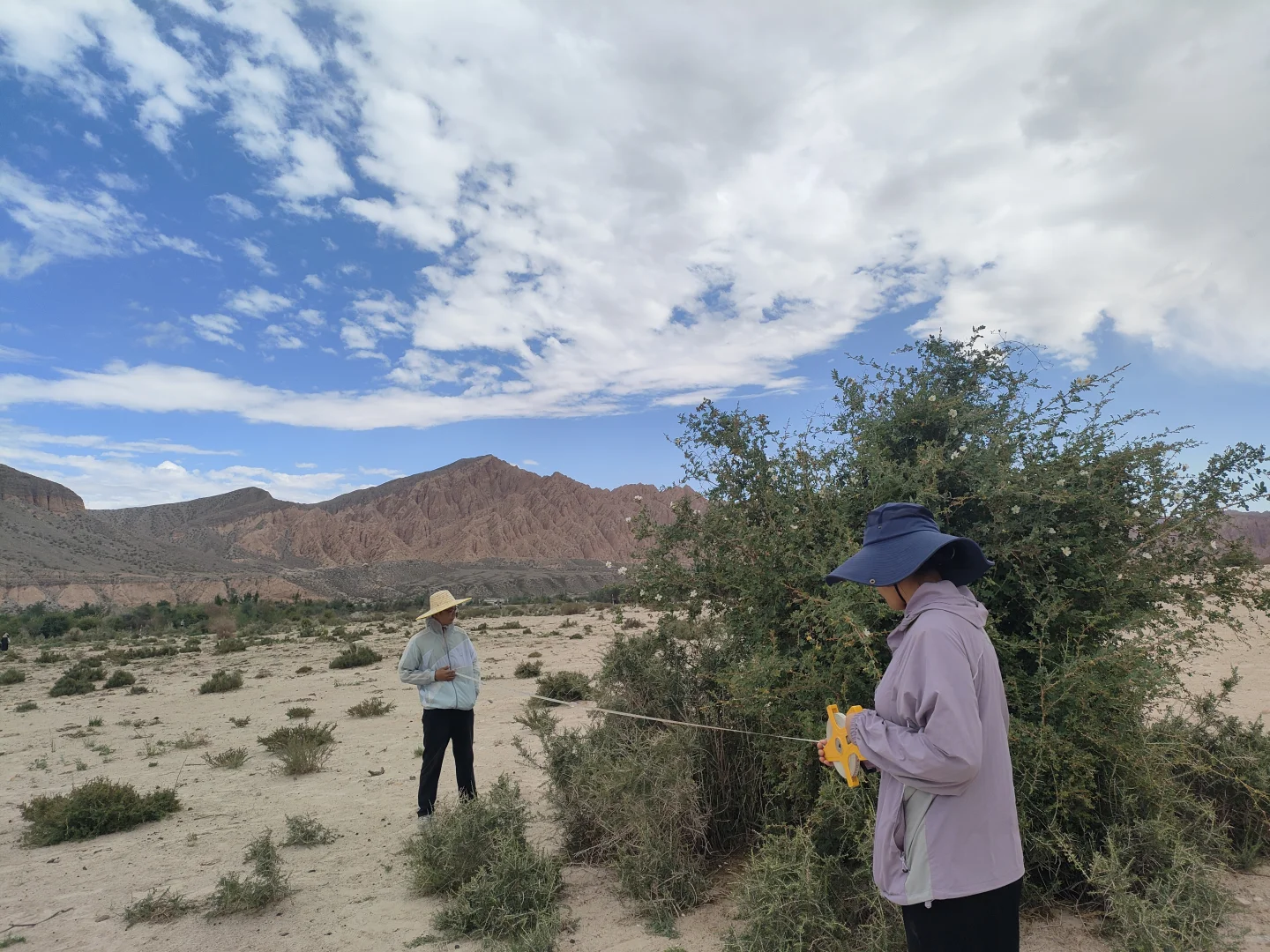 想看全国各地林学学生出外业的照片