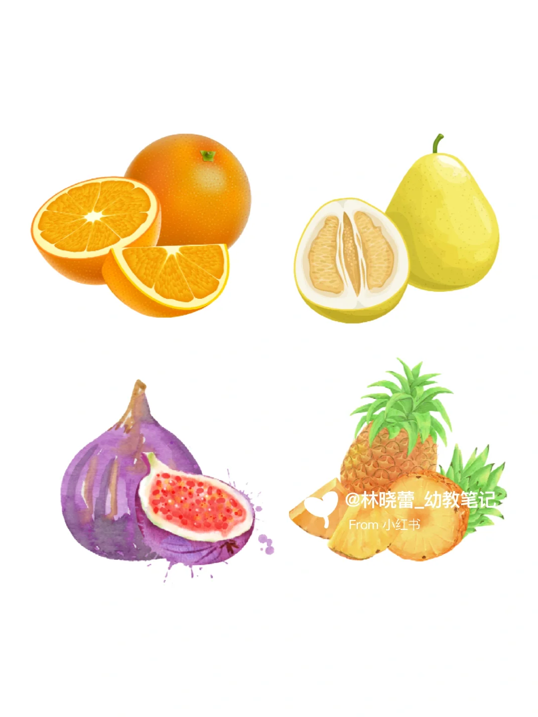 秋天水果环创素材?打印