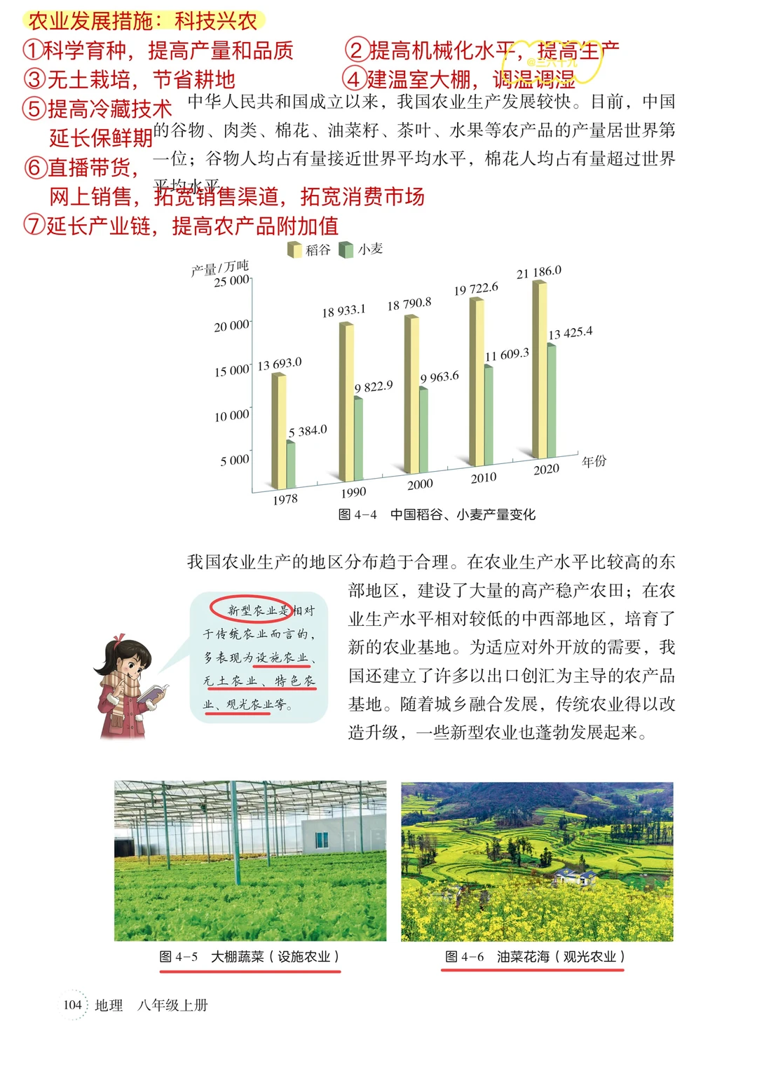 ❤️新湘教版八上地理笔记｜4.1中国的农业