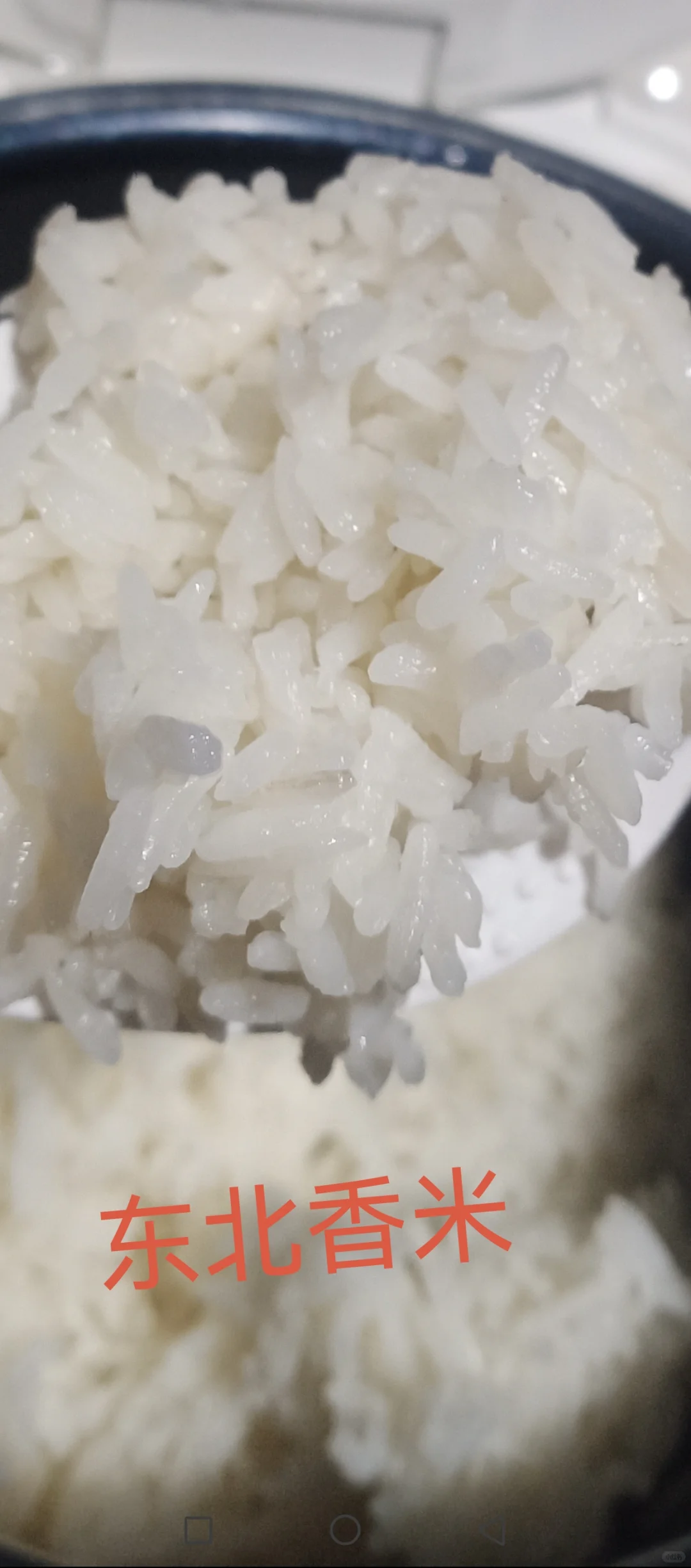 专业供应餐饮优质大