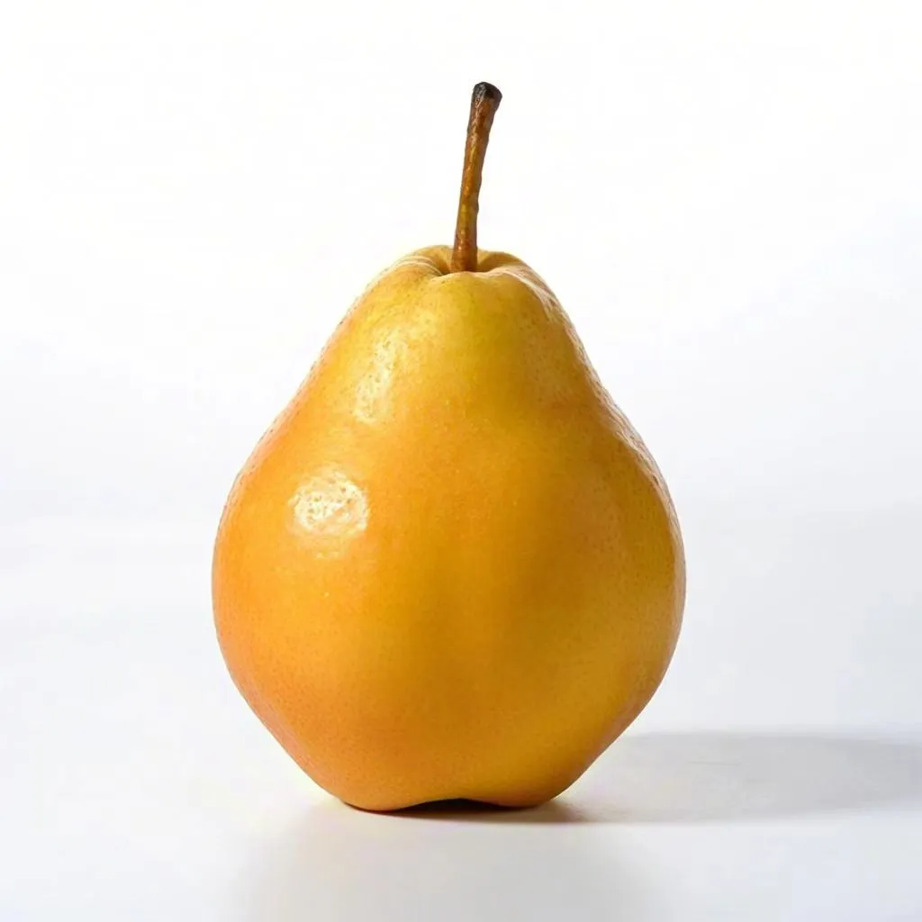 [幼小衔接]认知-水果篇，十一种常见水果