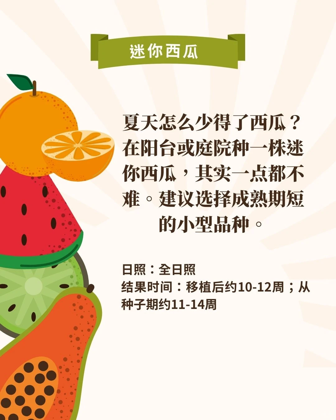 什么‼️懒人也可在家种水果?3个月就能吃到