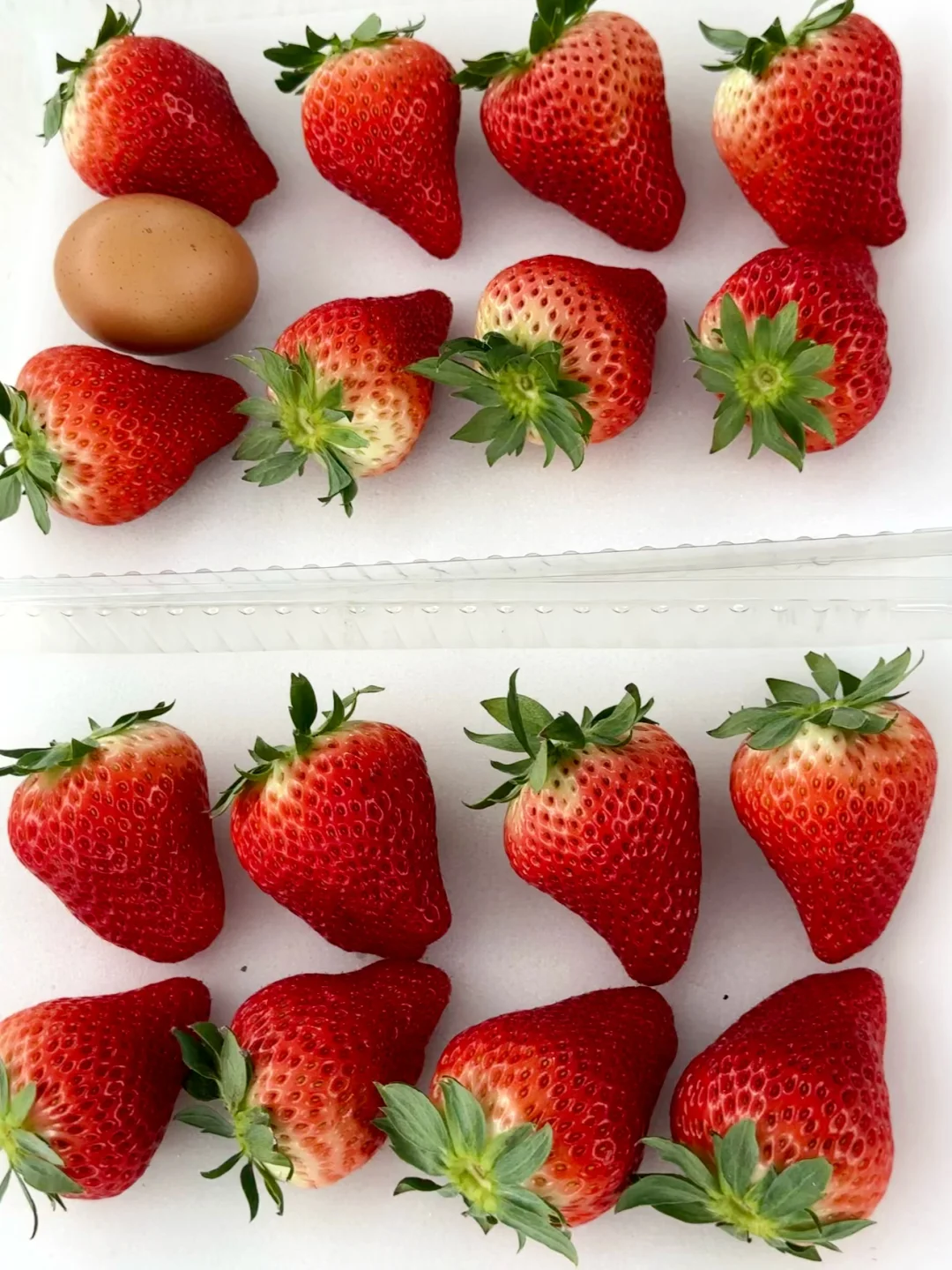 救命！这草莓是吃了膨大剂吗？！?”