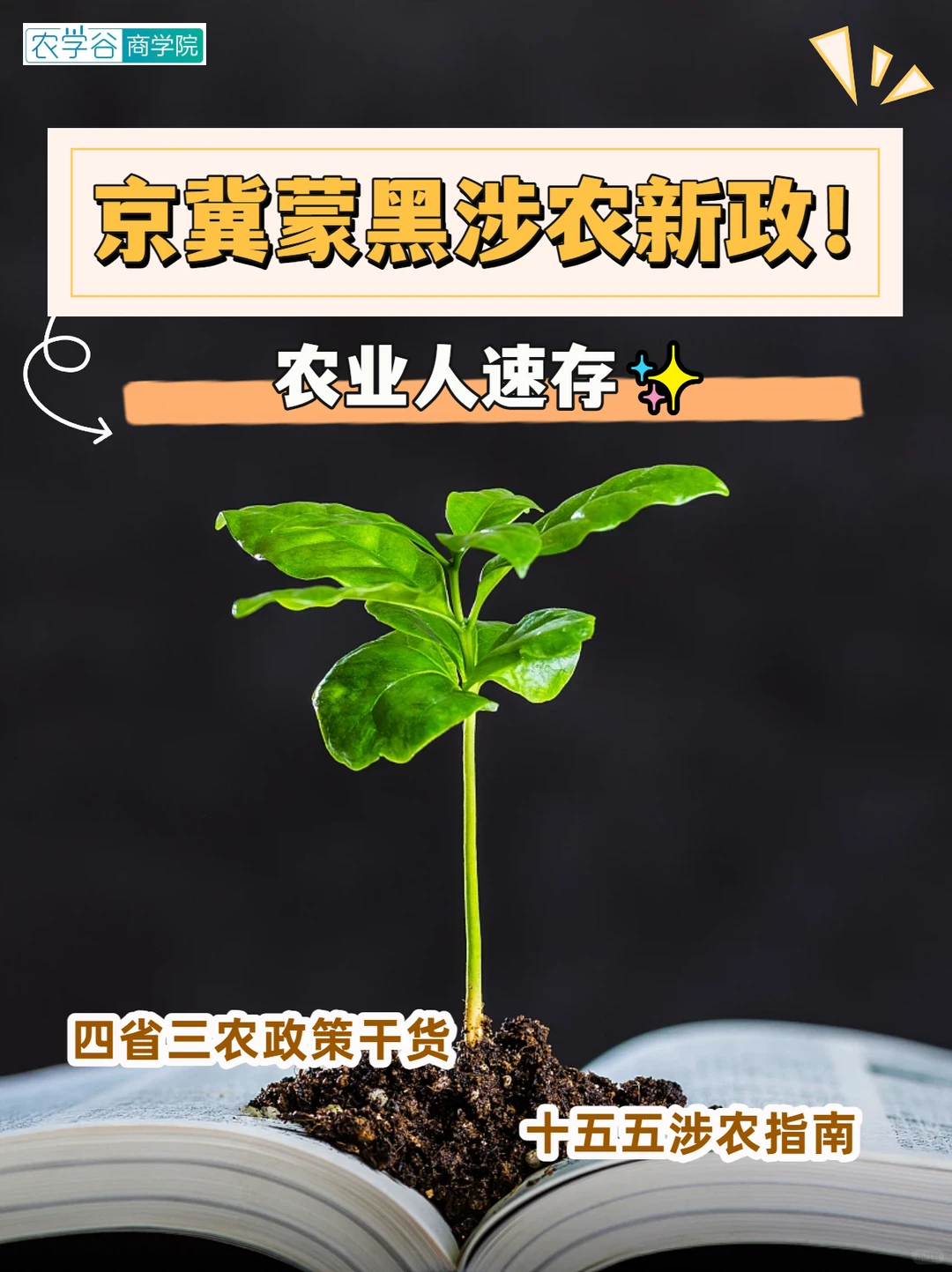 京冀蒙黑涉农新政！农业人速存✨