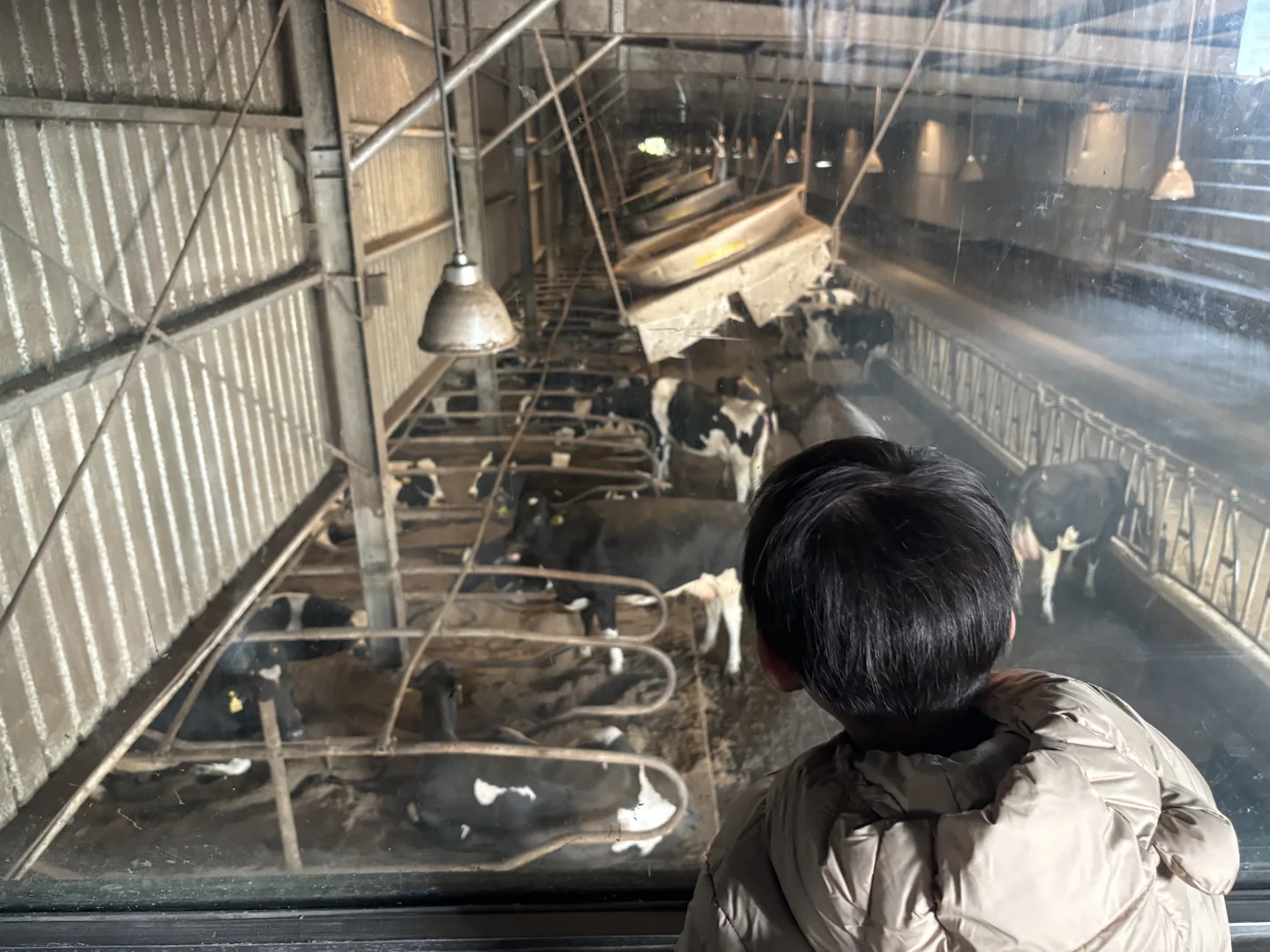 杭州周边遛娃地之—