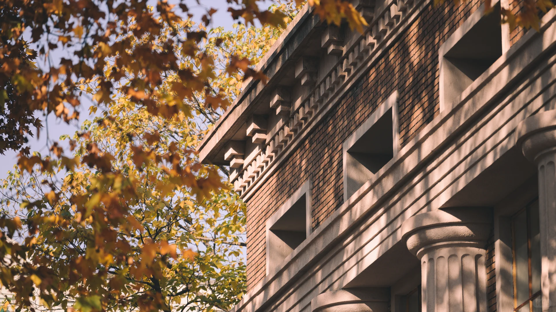 浙江图书馆大学路馆