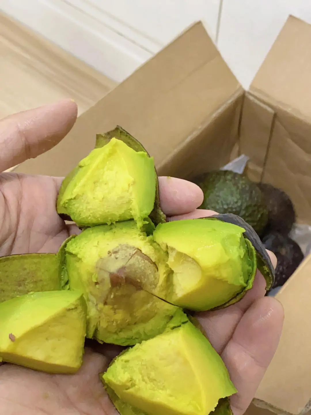 牛油果到底算是水果还是蔬菜呀？