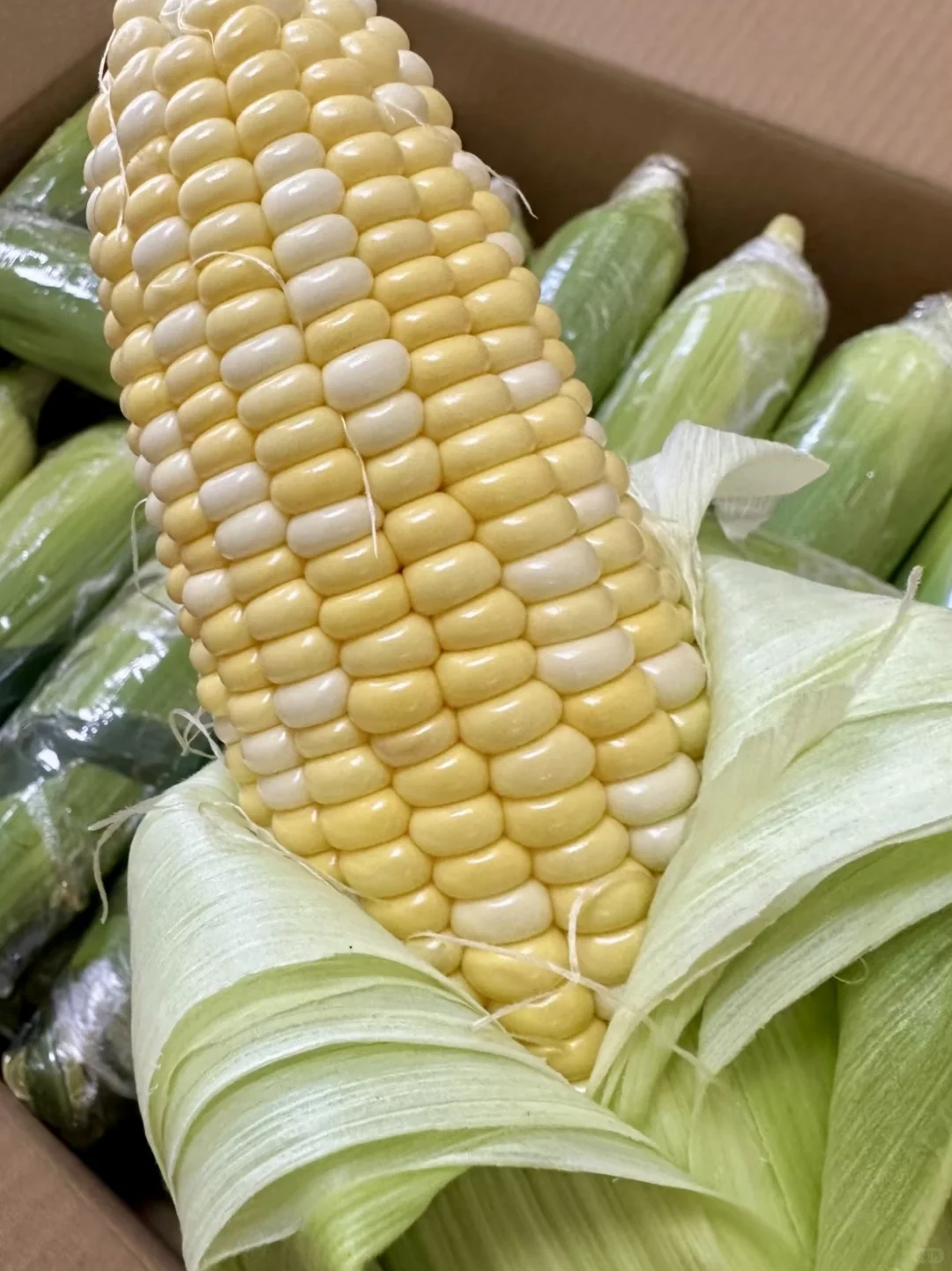 现采现摘的水果玉米?9.8三斤❗️不甜包赔