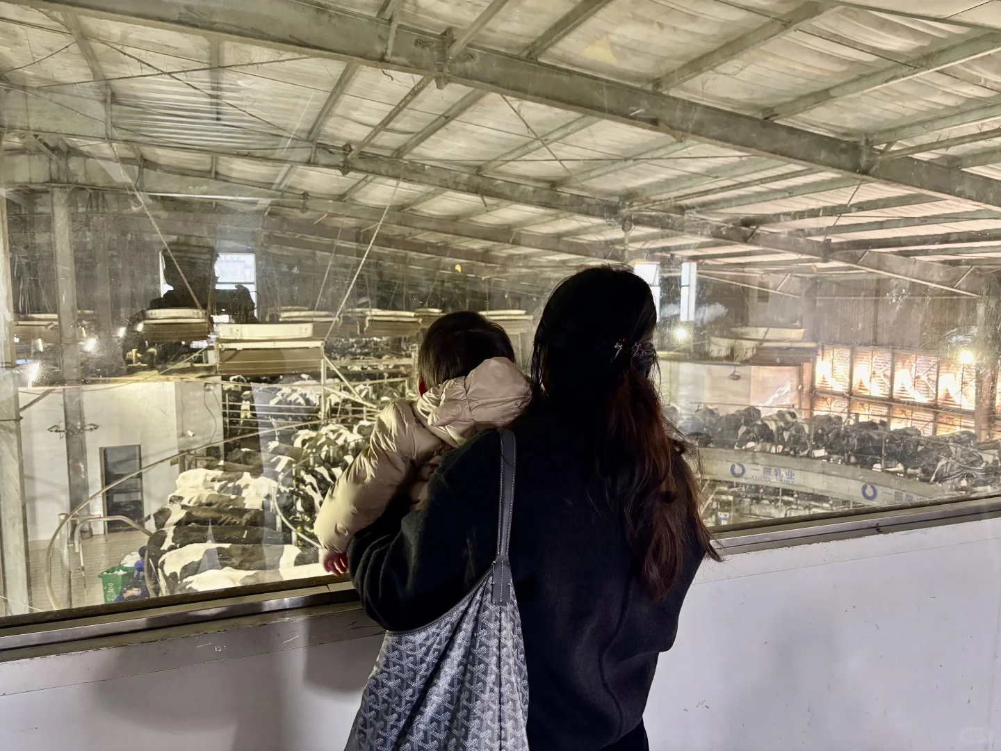 杭州周边遛娃地之—