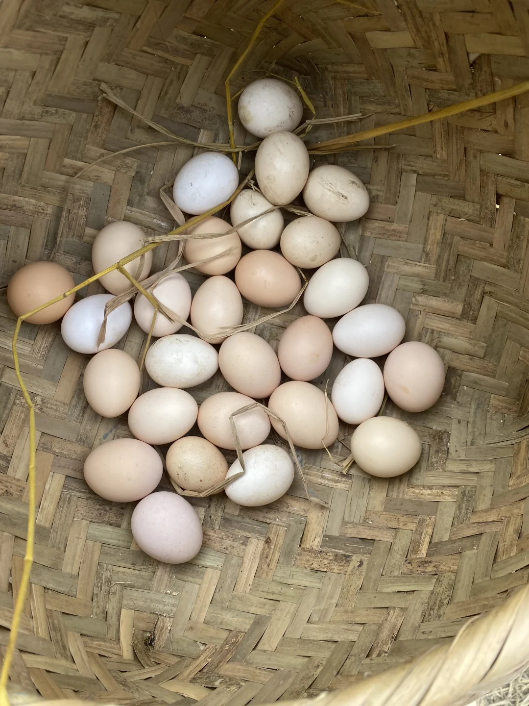 1.5左右一个的粮食土鸡蛋，真的很贵么？