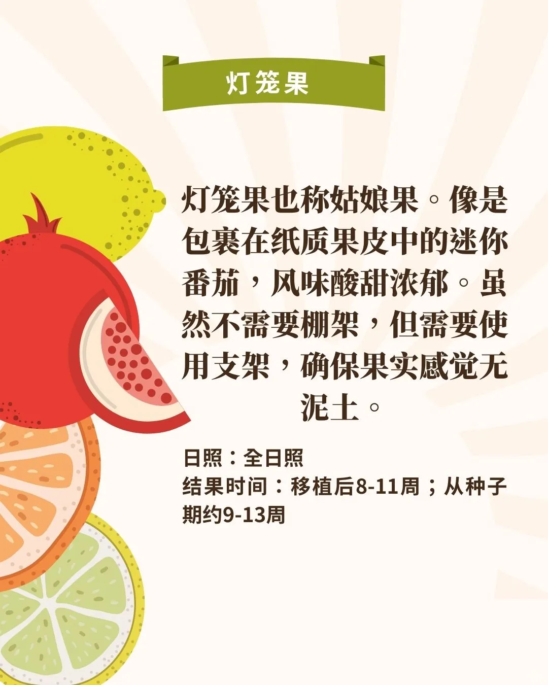 什么‼️懒人也可在家种水果?3个月就能吃到