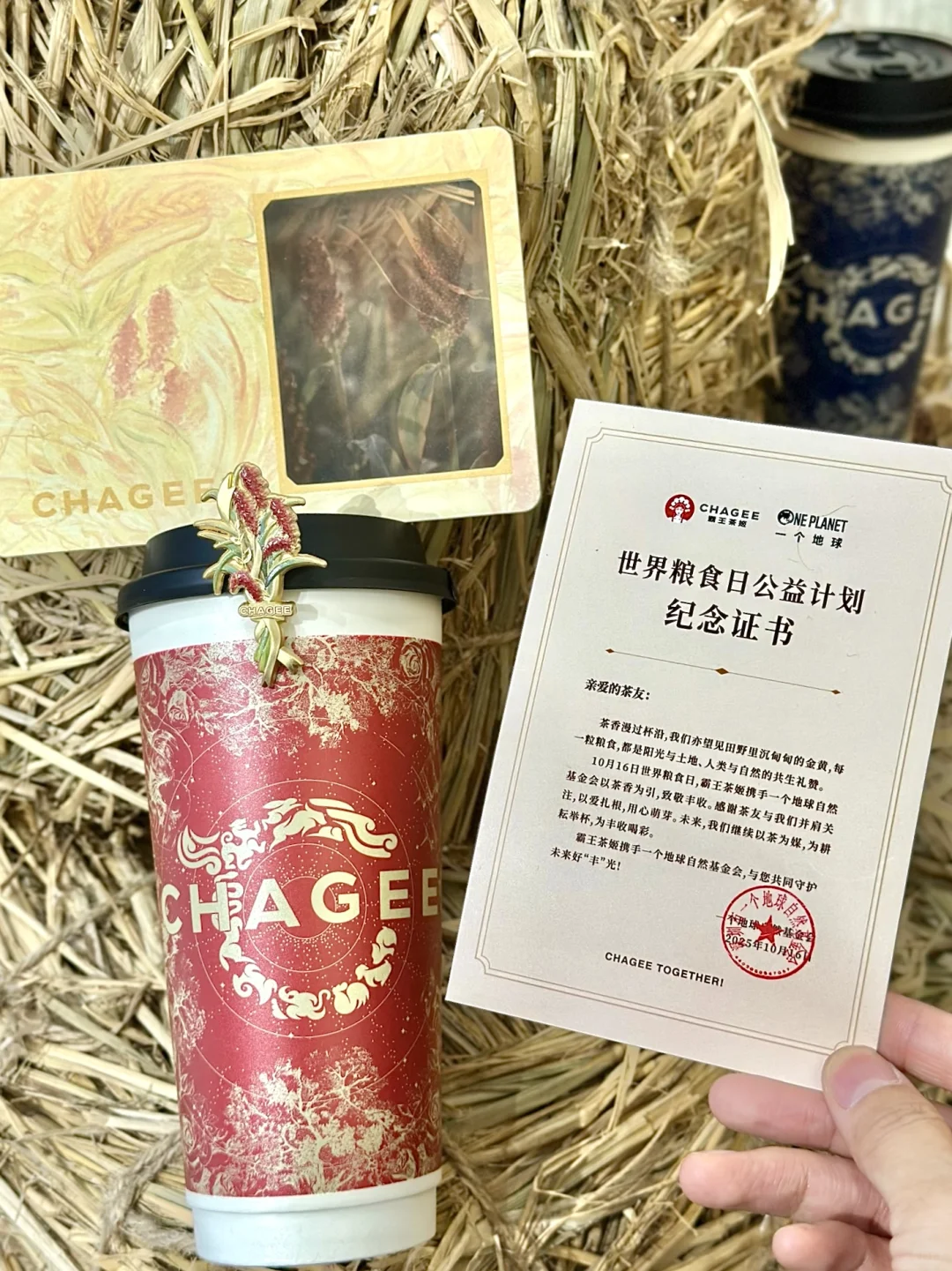 看看茶姬的粮食日周边?缩小版农作物超可爱