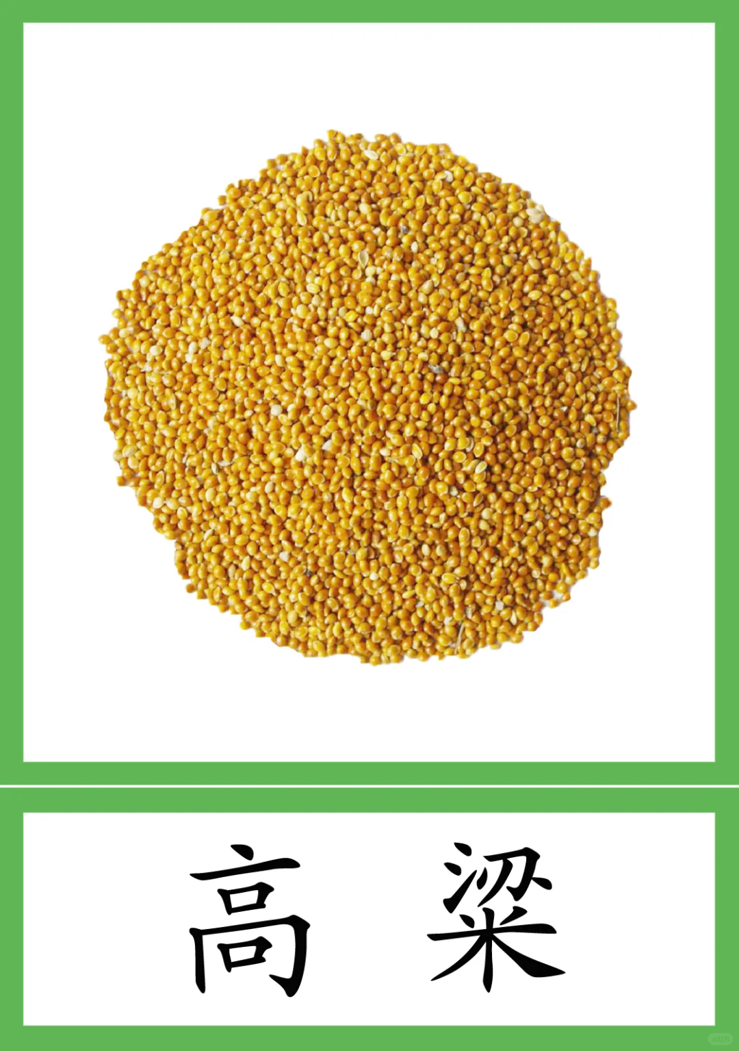 蒙氏植物素材28--粮食作物种类 三段卡