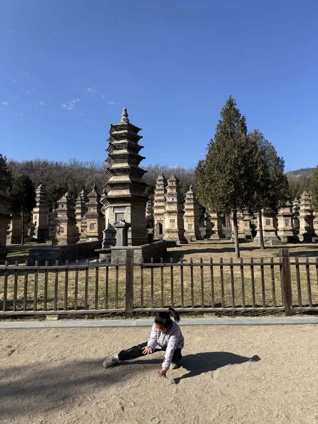 一周一山⛰️-第五十五山-达摩像.少林寺