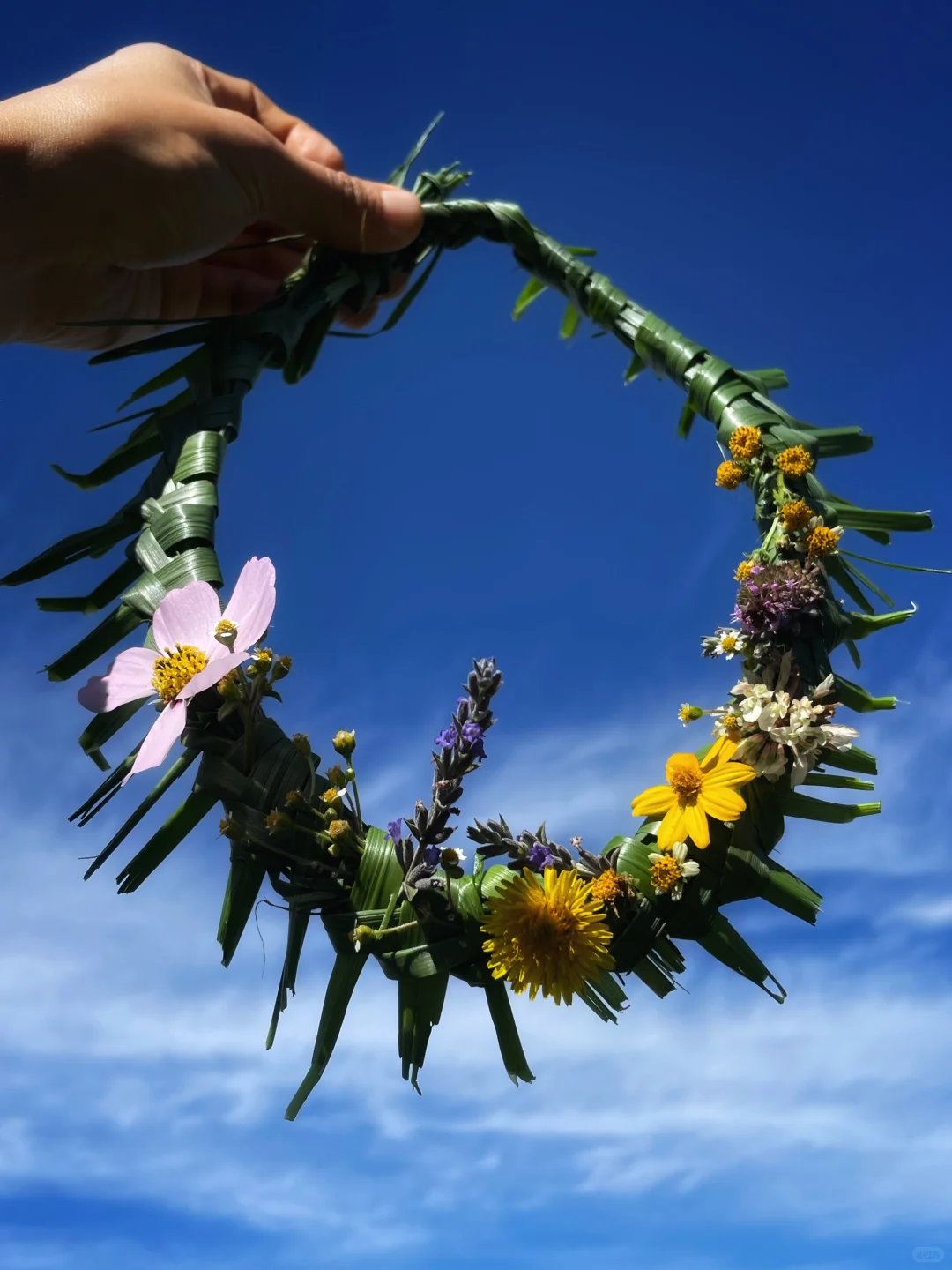 在自然里轻轻走走 就有丰富的收获和答案