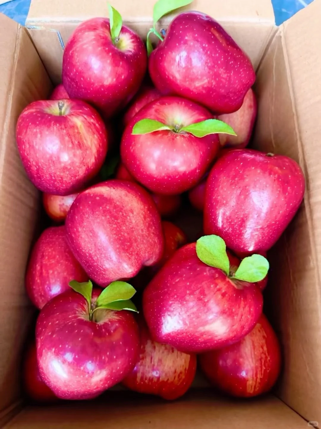 家里有宝宝的，把辅食苹果都换成这个！