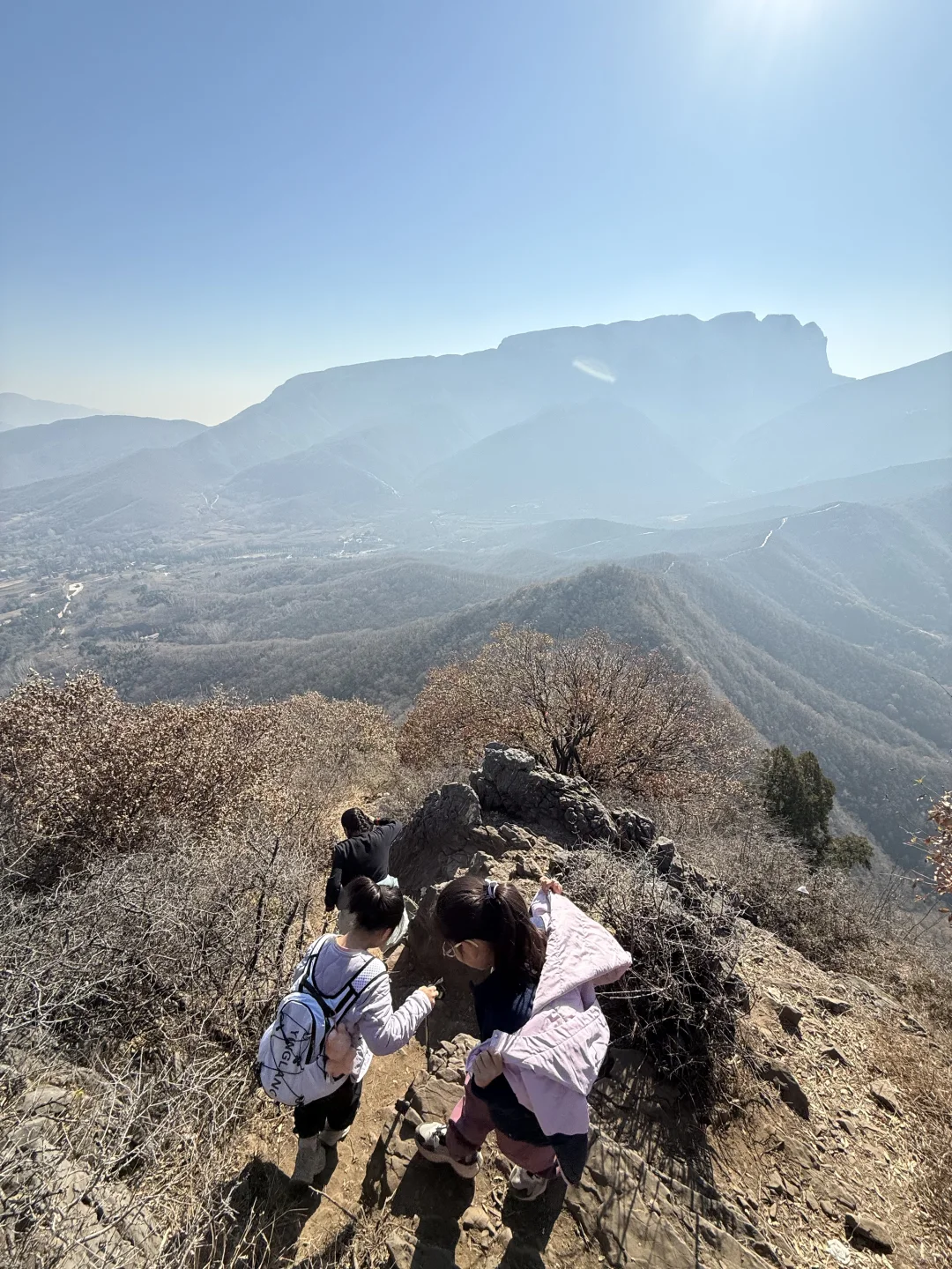 一周一山⛰️-第五十五山-达摩像.少林寺